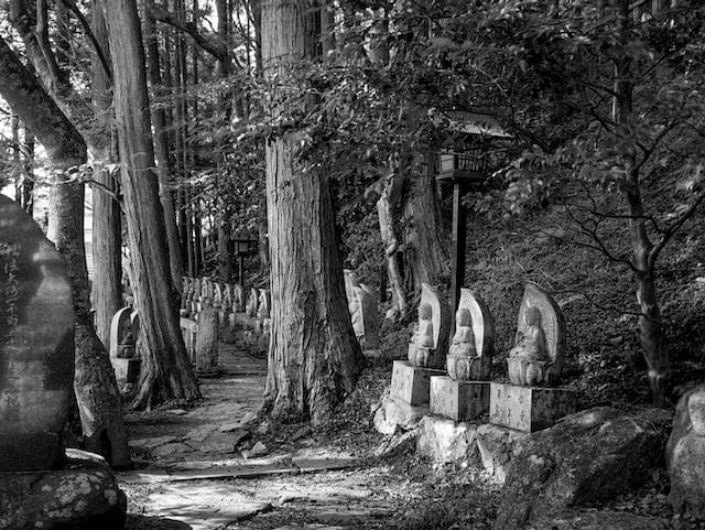 Mystic black and white scene of old Jizo Buddha statues in Iwakis ancient forest, Japan.