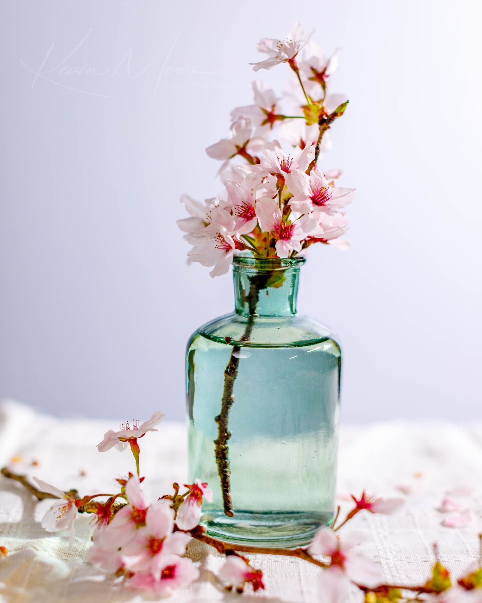 Blue-green glass vase with fresh cherry blossoms on a textured cream surface.