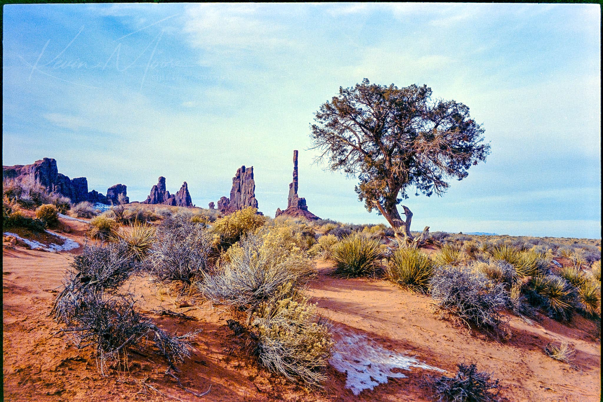 Desert landscape with towering butte and resilient vegetation in Monument Valley, Arizona.