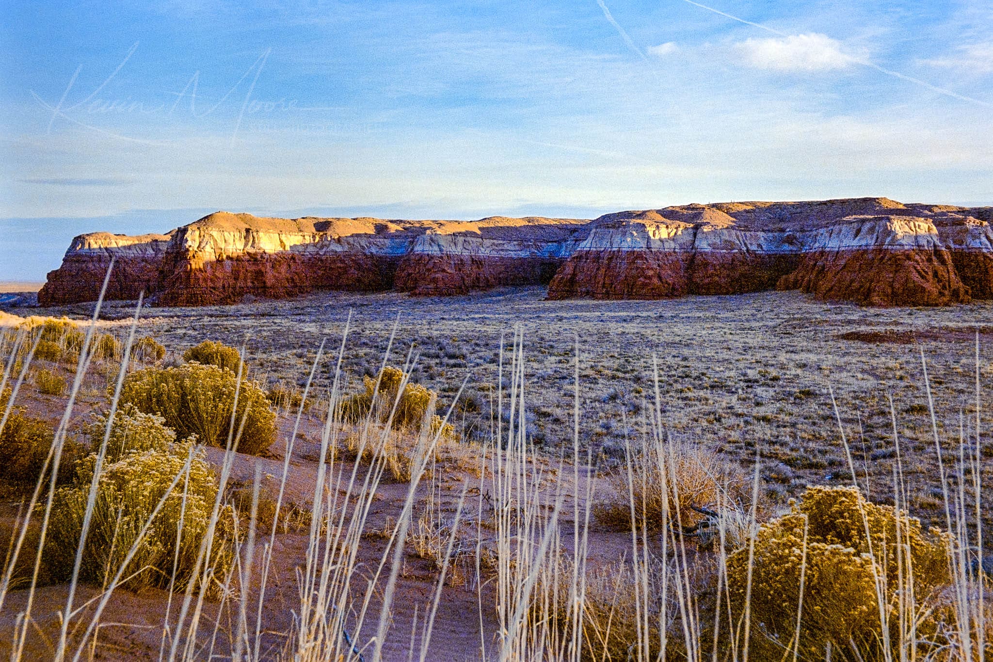 Golden sunrise illuminating a vast mesa amidst a serene, arid landscape with sparse vegetation.