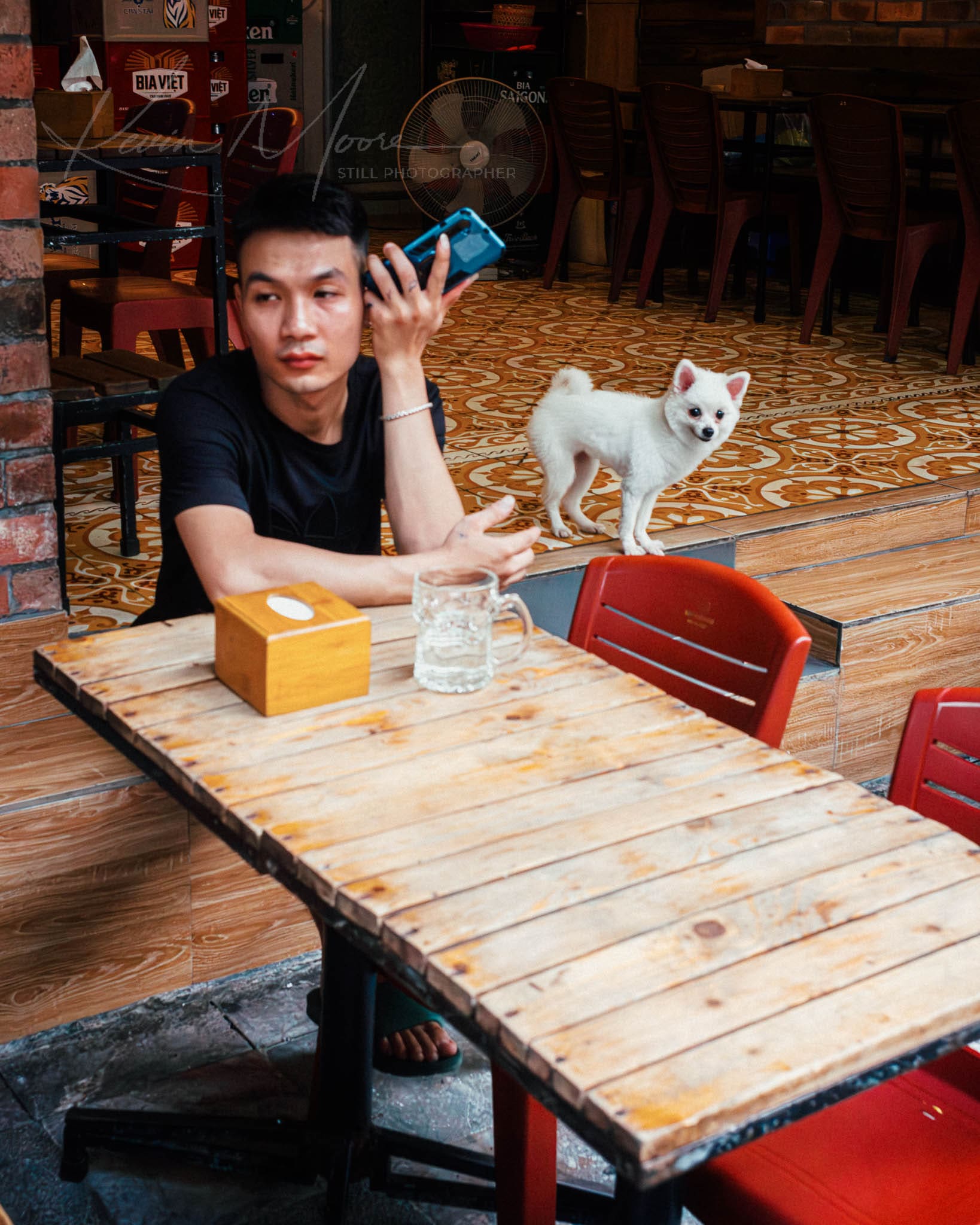 Young man in Hanoi cafe talking on phone with white dog at table.