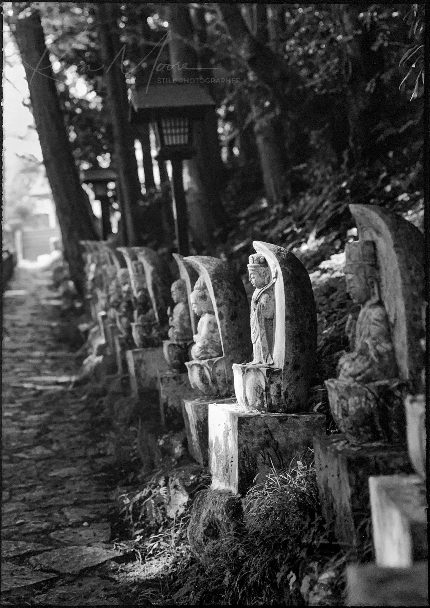 Black and white image of Jizo statues in a serene forested pathway in Japan.