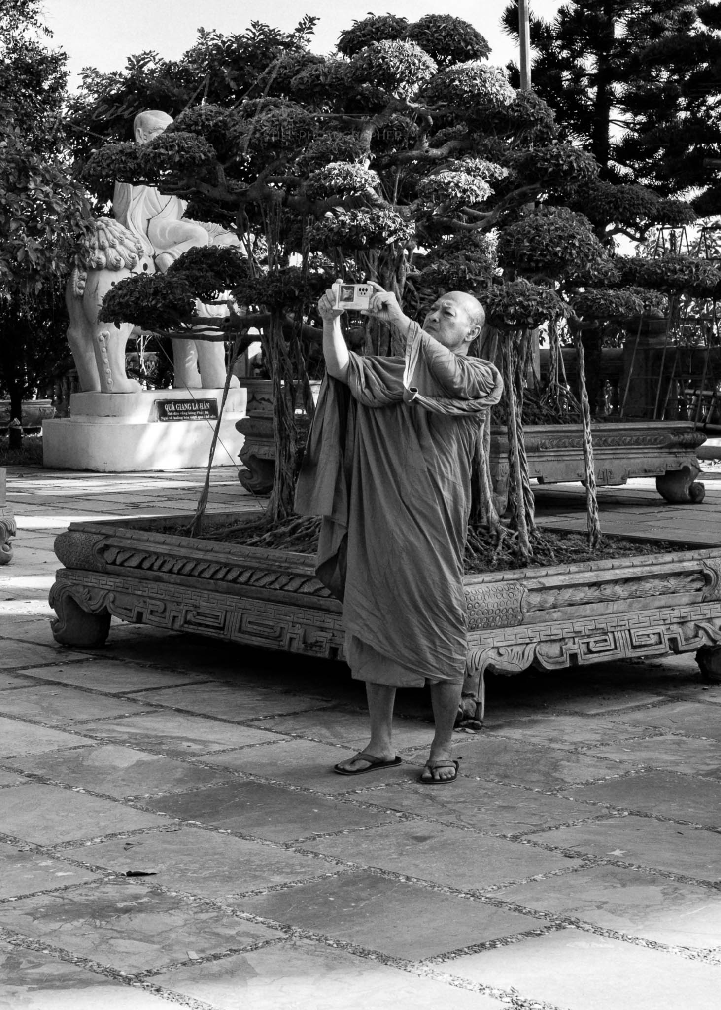 Monk Taking Photographs in serene temple garden in black and white.