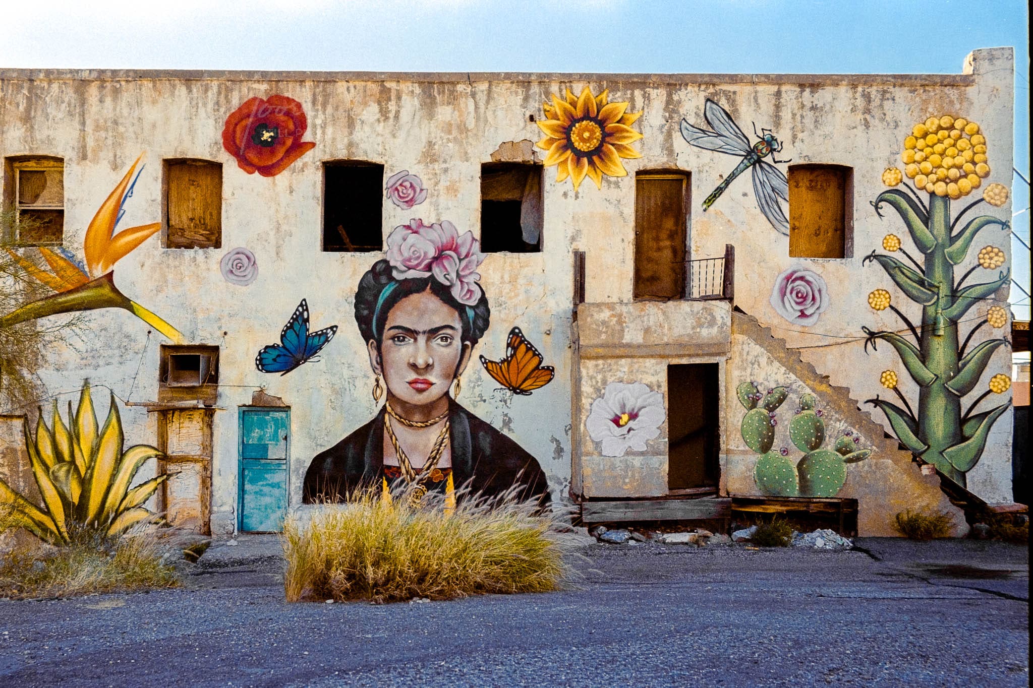 Vibrant mural of woman and botanicals revitalizing an abandoned building in a desert landscape.