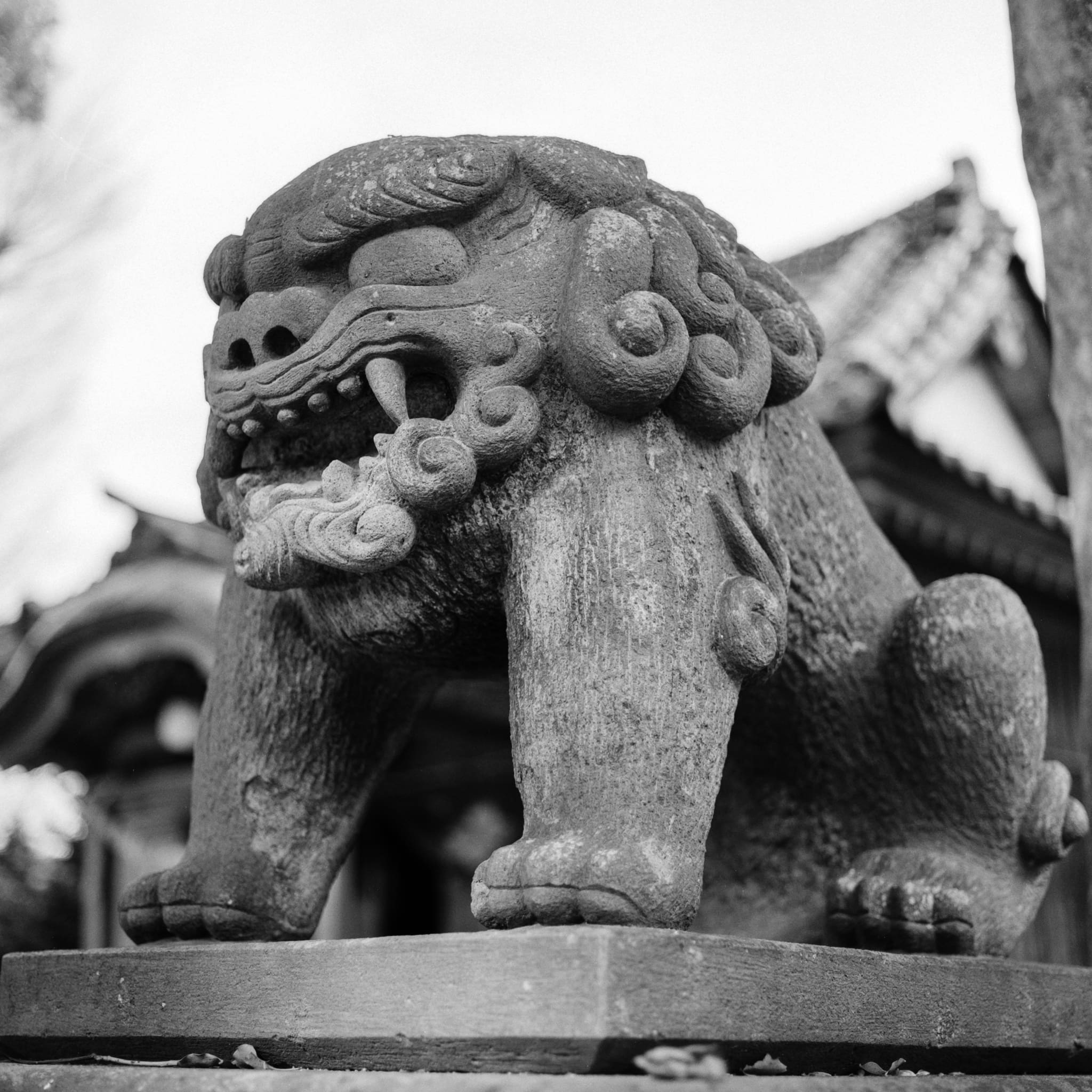 Ancient East Asian stone lion sculpture in black and white.