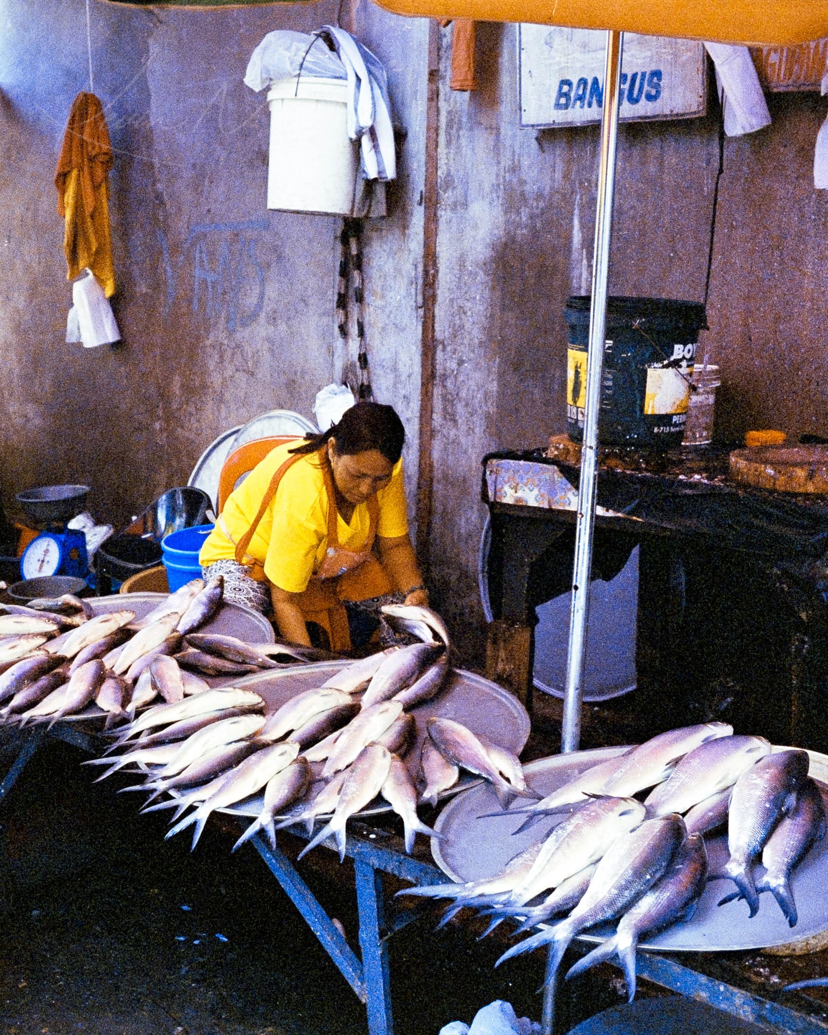 Fish vendor arranging fresh catch at a bustling outdoor market