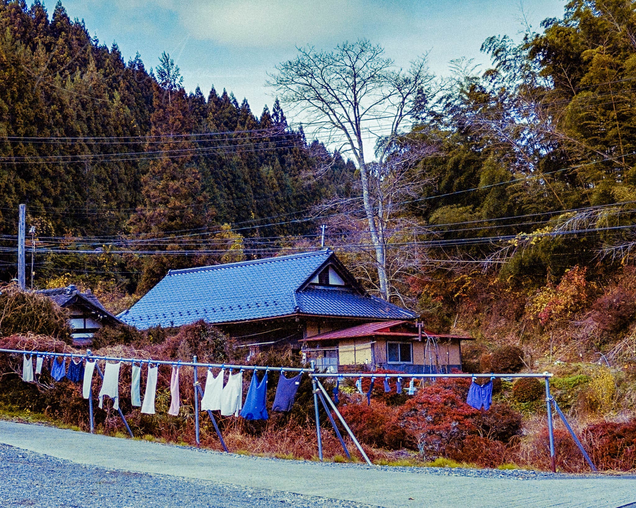 Traditional Japanese house with clothesline in serene rural setting during autumn