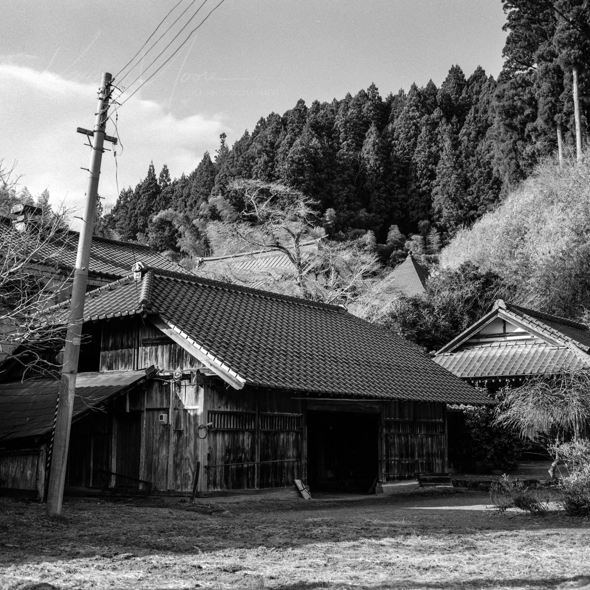 Monochrome image of traditional rural Japanese buildings amidst serene, densely wooded landscape.