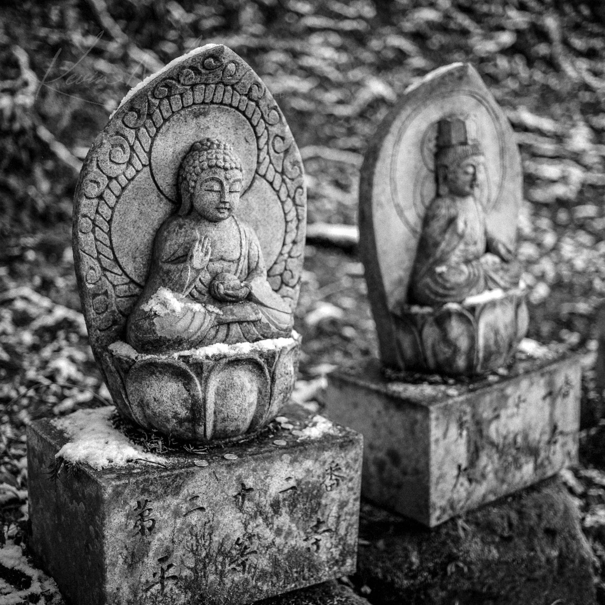 Ancient stone Buddha statues in peaceful meditation, black and white image.