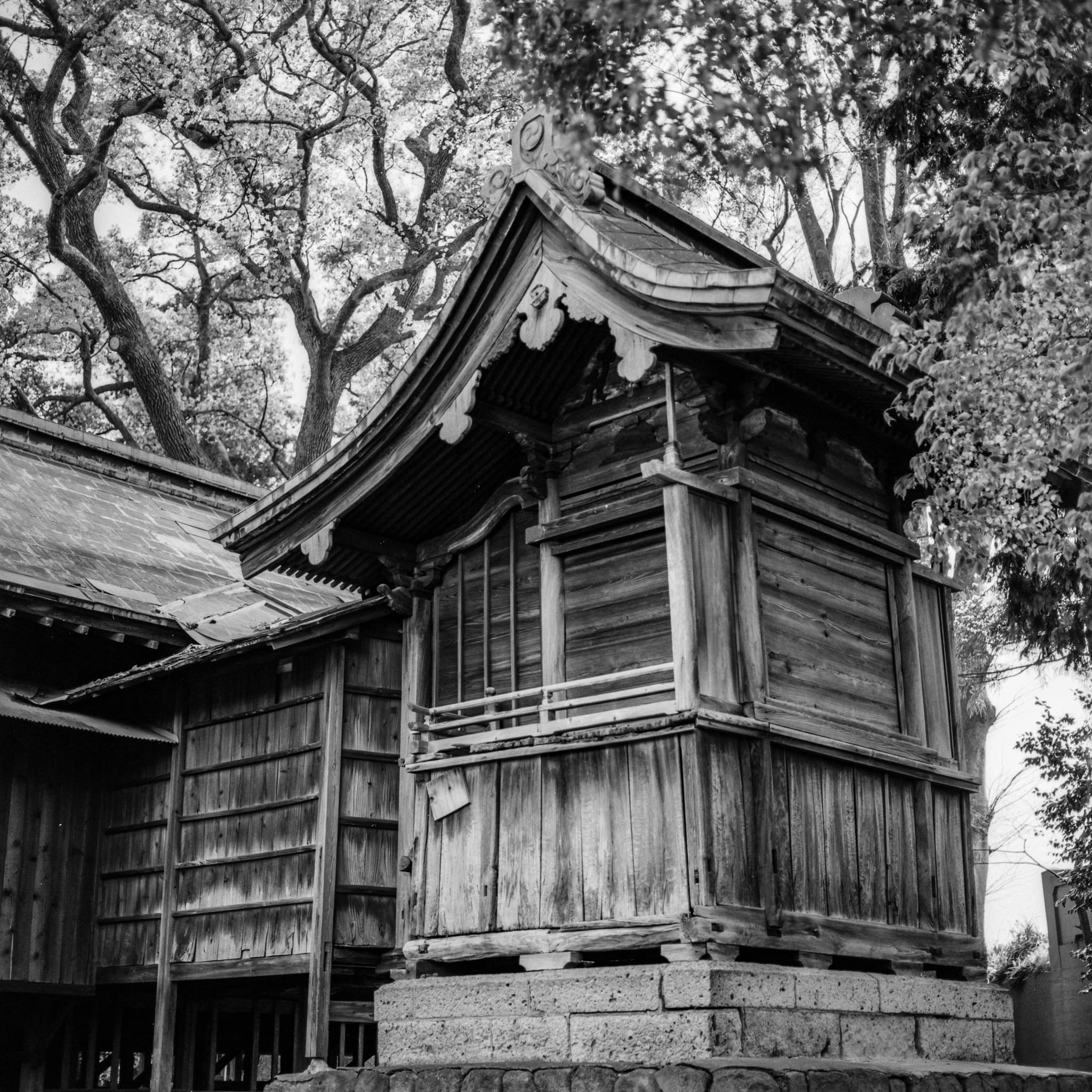 Black and white photo of weathered, traditional Japanese wooden architecture amidst bare trees.