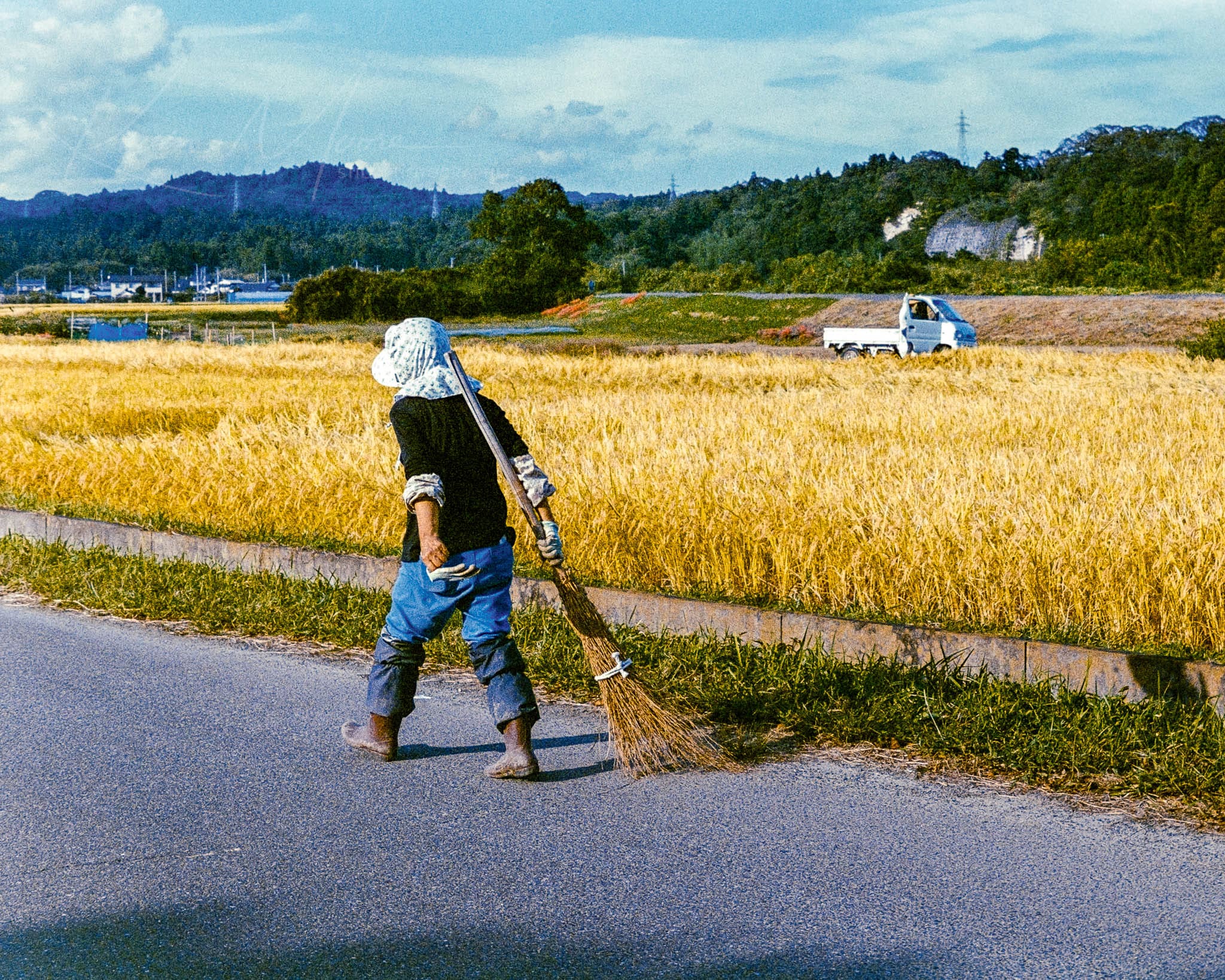 Strolling casually on a road amidst golden harvest fields and serene rural scenery.